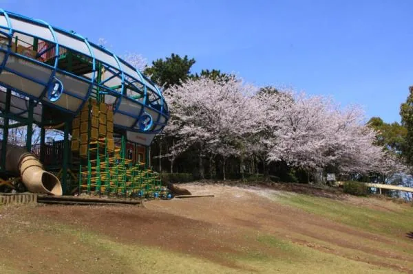 霞ヶ浦総合公園のツェッペリン号とローラー滑り台