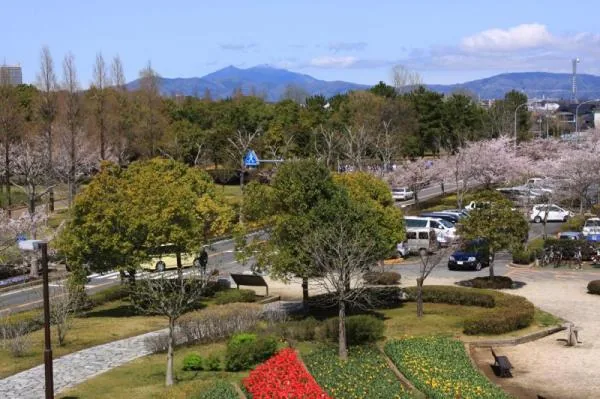 霞ヶ浦総合公園の風車とチューリップ
