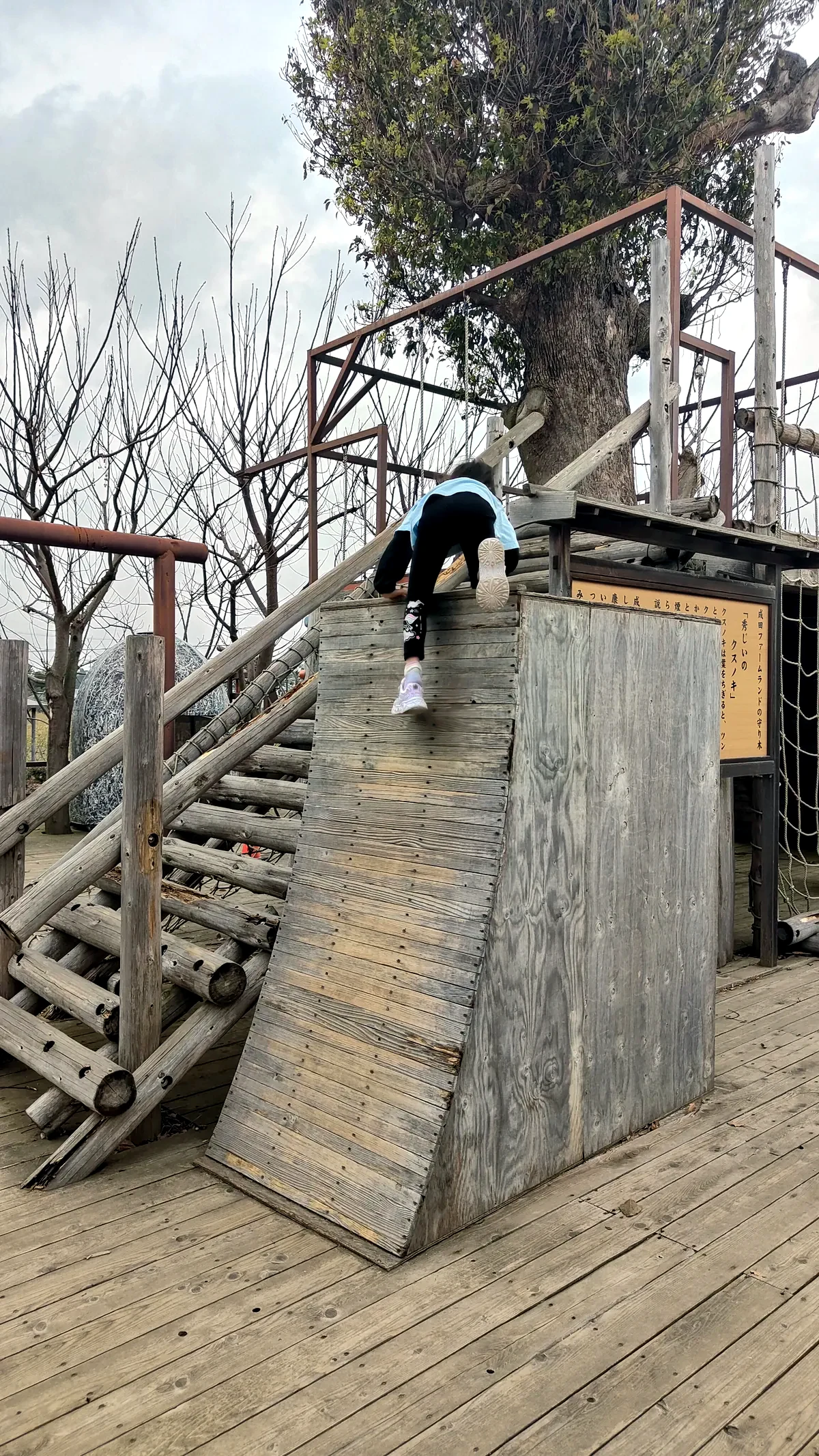 ロープブランコで遊ぶ子供向けの遊具