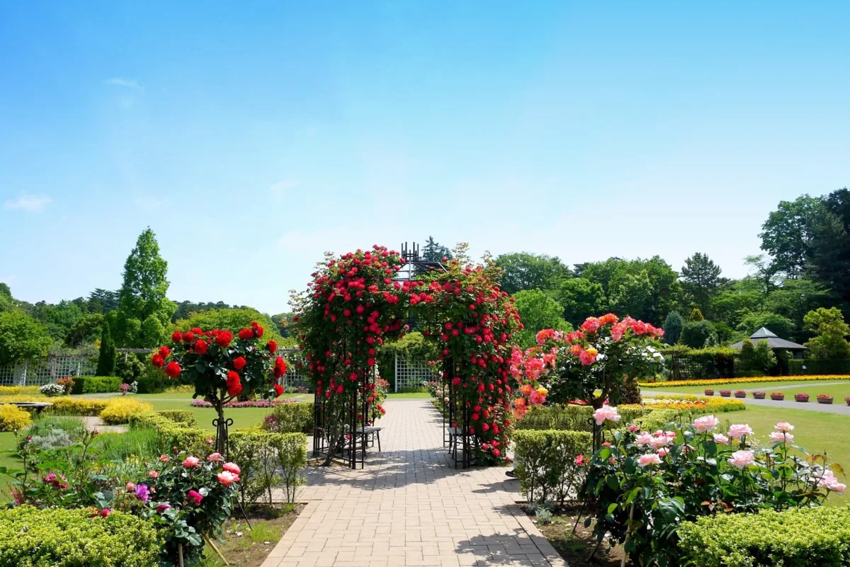清水公園 花ファンタジアの花のアーチ